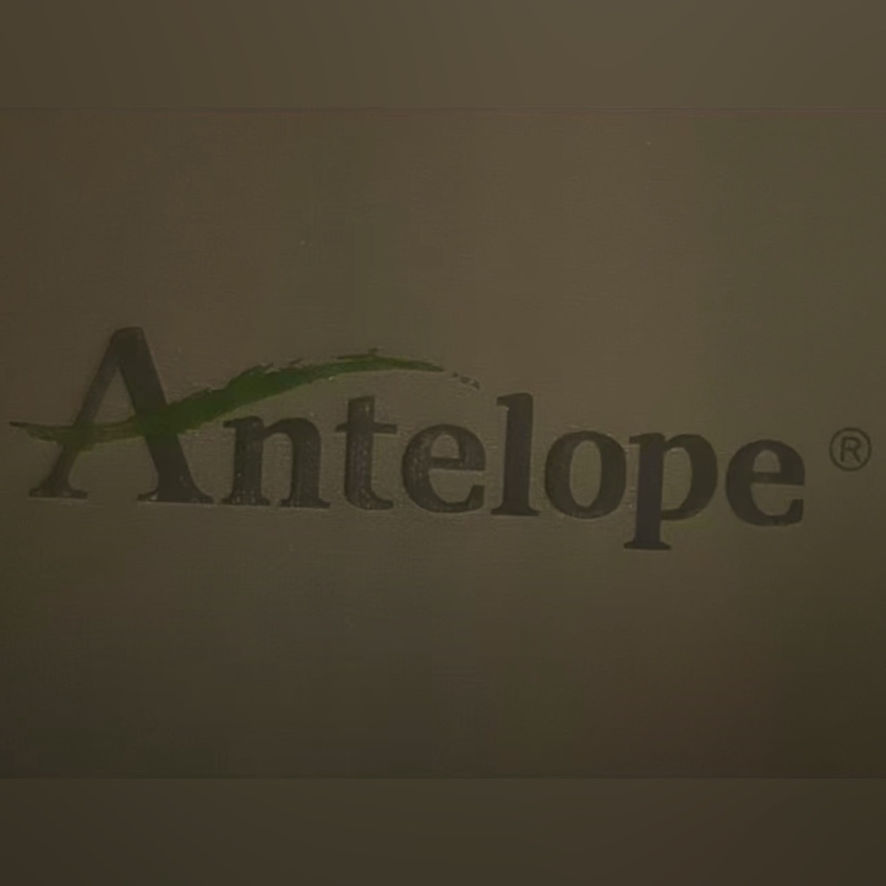 Antelope Wedges size 7.5 (38)